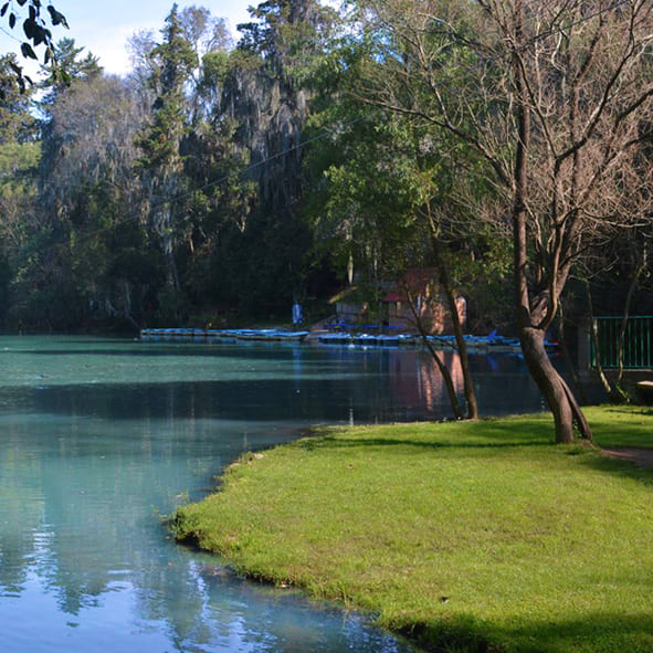 Parque Ecoturístico Bosque de las Truchas
